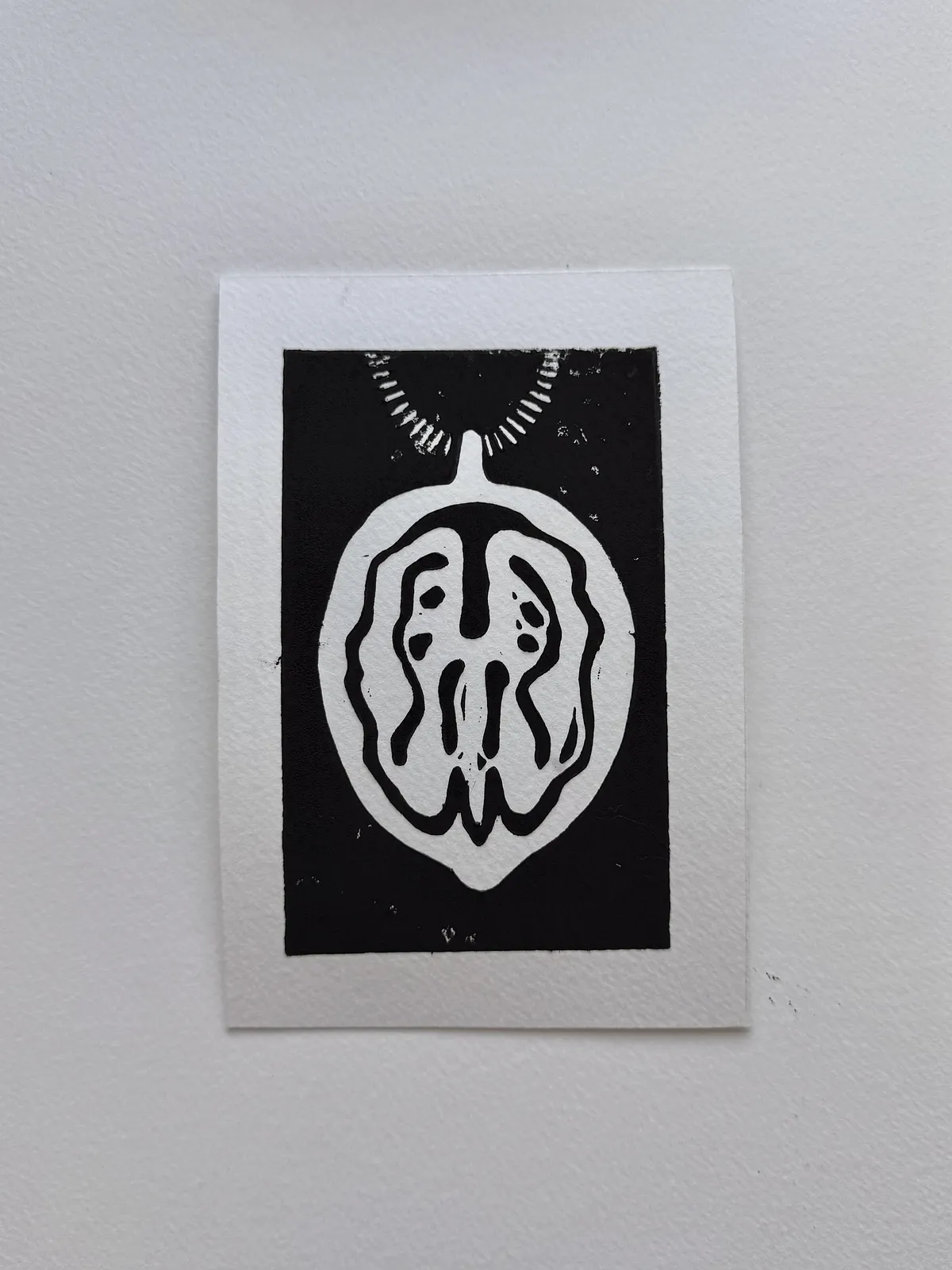 Image of Walnut by Adriana Shportan, size: 10x15, made of Lino print, Graphics medium, from London , priced at £50 (≈ 3,032 грн) Photo 3 of 7.