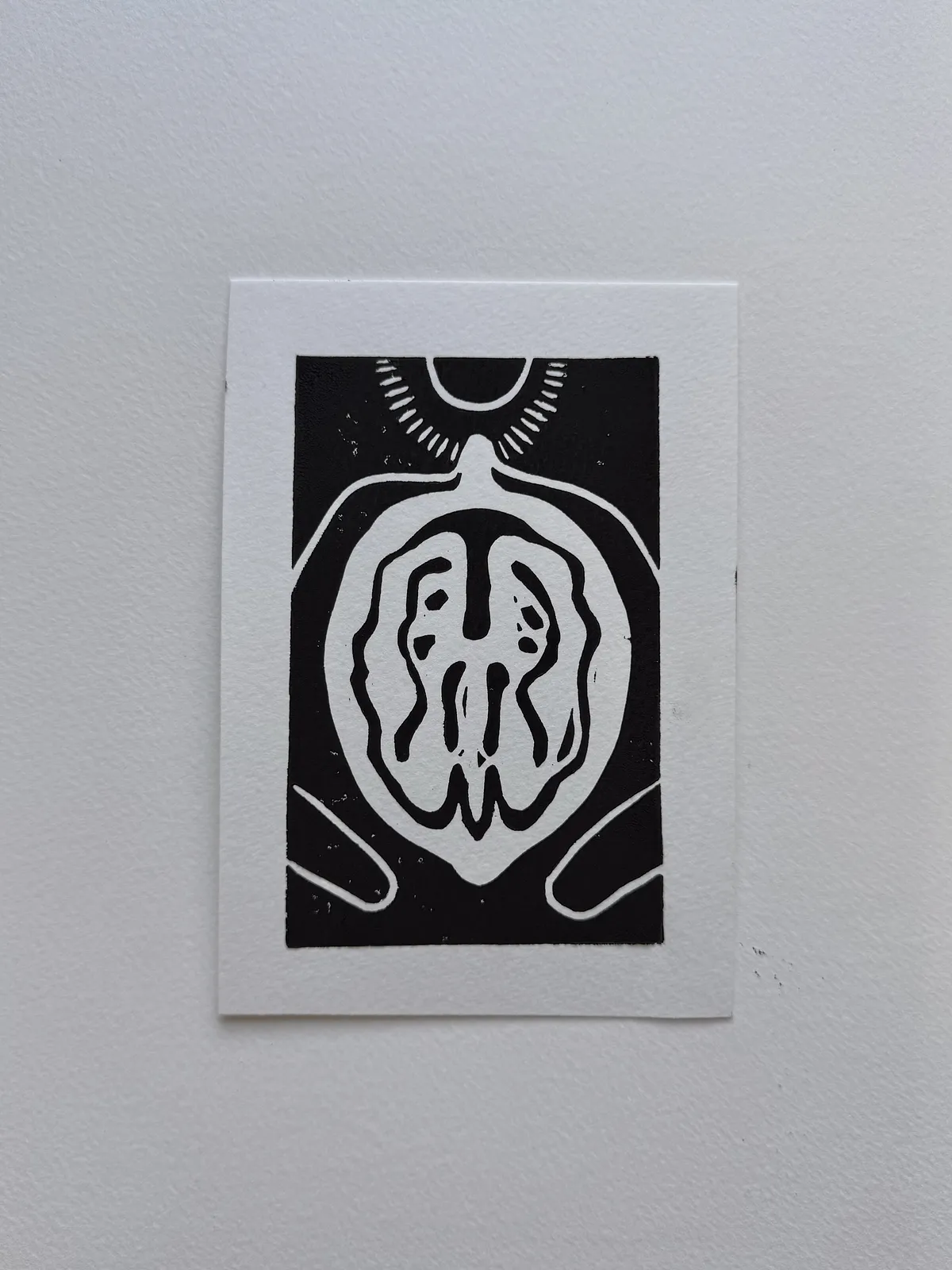 Image of Walnut by Adriana Shportan, size: 10x15, made of Lino print, Graphics medium, from London , priced at £50 (≈ 3,032 грн) Photo 4 of 7.